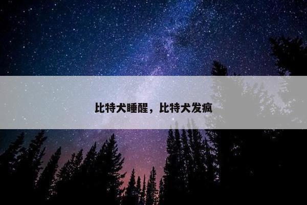比特犬睡醒，比特犬发疯