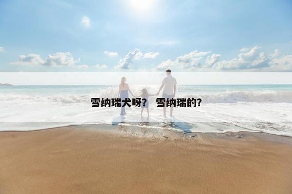 雪纳瑞犬呀？ 雪纳瑞的？