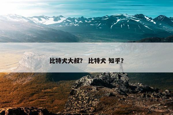 比特犬大叔？ 比特犬 知乎？