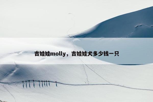 吉娃娃molly，吉娃娃犬多少钱一只