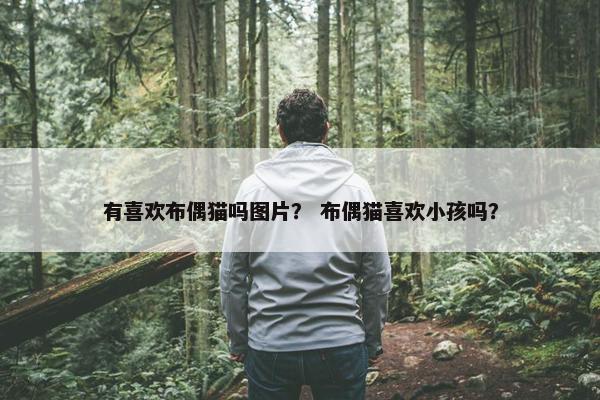 有喜欢布偶猫吗图片？ 布偶猫喜欢小孩吗？