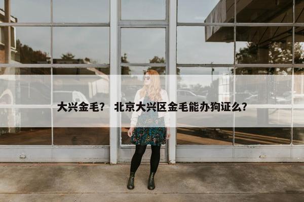 大兴金毛？ 北京大兴区金毛能办狗证么？