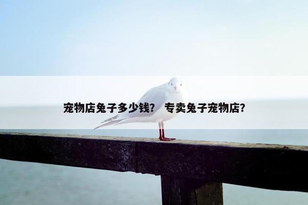 宠物店兔子多少钱？ 专卖兔子宠物店？