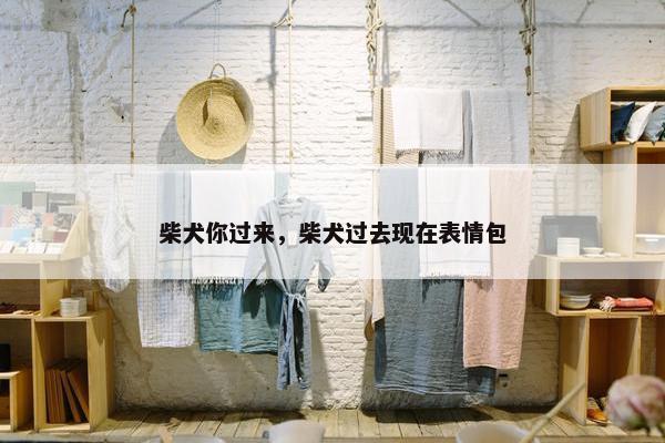 柴犬你过来，柴犬过去现在表情包