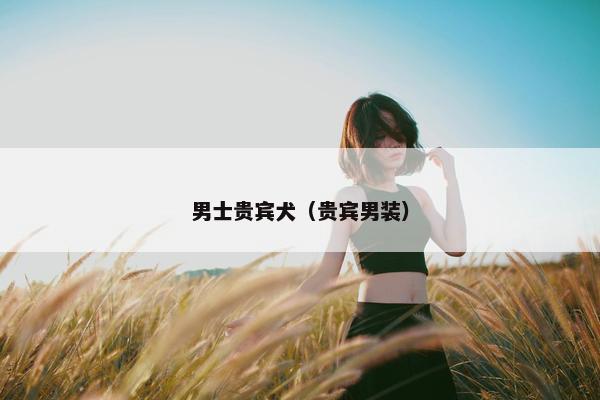 男士贵宾犬（贵宾男装）