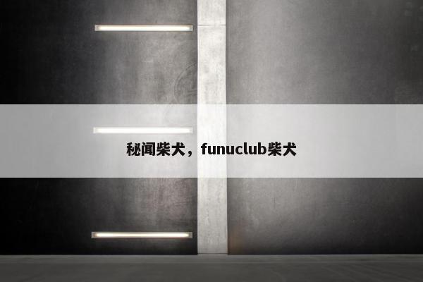 秘闻柴犬，funuclub柴犬