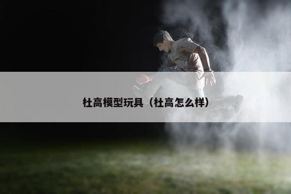 杜高模型玩具（杜高怎么样）