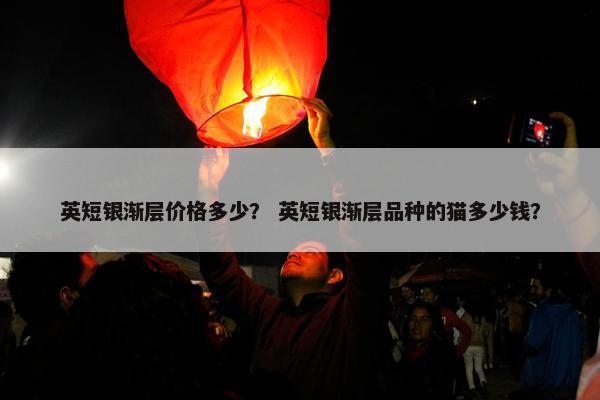 英短银渐层价格多少？ 英短银渐层品种的猫多少钱？