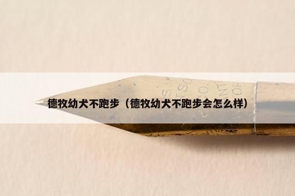 德牧幼犬不跑步（德牧幼犬不跑步会怎么样）