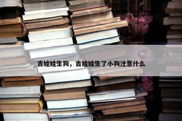吉娃娃生狗，吉娃娃生了小狗注意什么