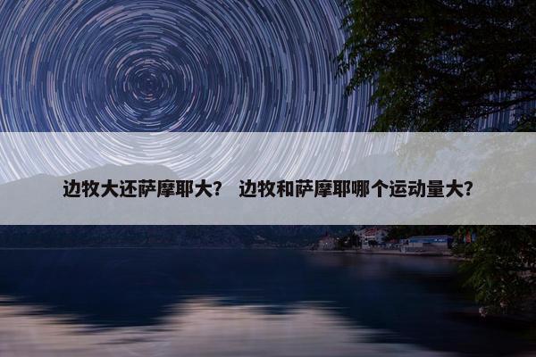 边牧大还萨摩耶大？ 边牧和萨摩耶哪个运动量大？