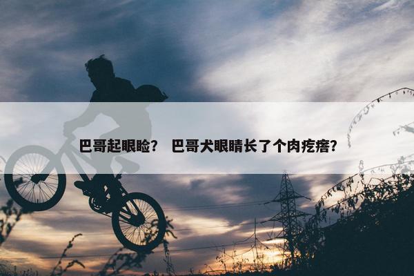 巴哥起眼睑？ 巴哥犬眼睛长了个肉疙瘩？