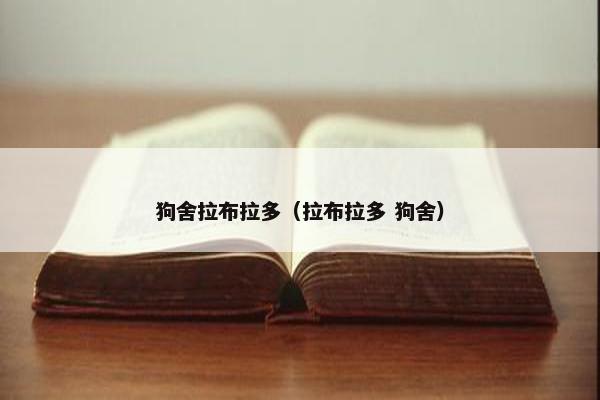 狗舍拉布拉多（拉布拉多 狗舍）