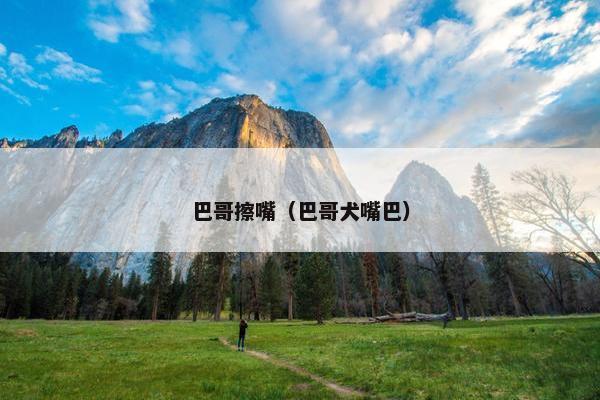 巴哥擦嘴（巴哥犬嘴巴）