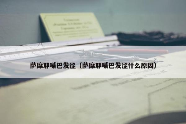萨摩耶嘴巴发涩（萨摩耶嘴巴发涩什么原因）