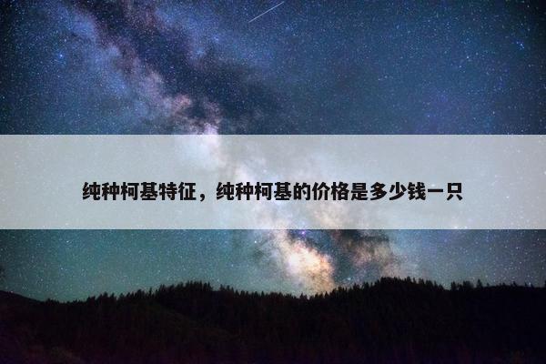 纯种柯基特征，纯种柯基的价格是多少钱一只