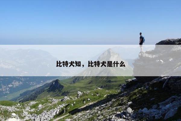 比特犬知，比特犬是什么