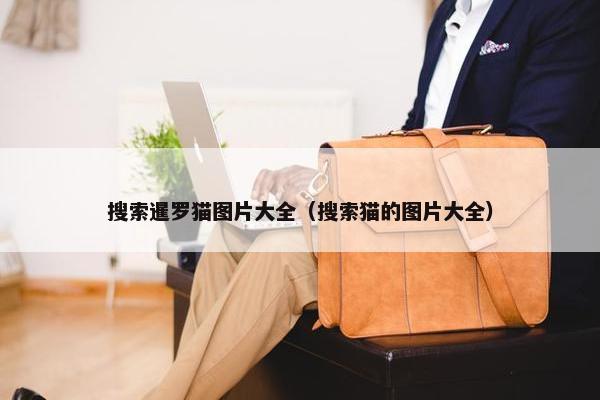 搜索暹罗猫图片大全（搜索猫的图片大全）