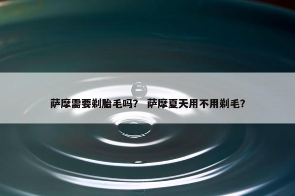 萨摩需要剃胎毛吗？ 萨摩夏天用不用剃毛？