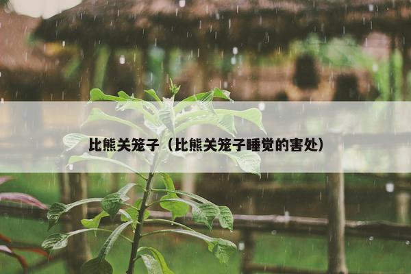 比熊关笼子（比熊关笼子睡觉的害处）