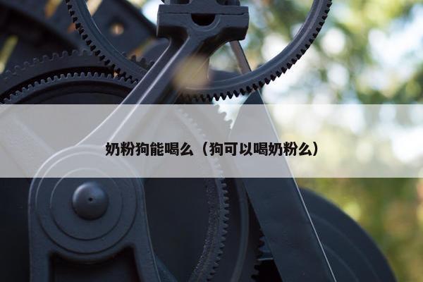 奶粉狗能喝么（狗可以喝奶粉么）