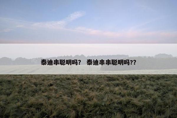 泰迪串聪明吗？ 泰迪串串聪明吗?？