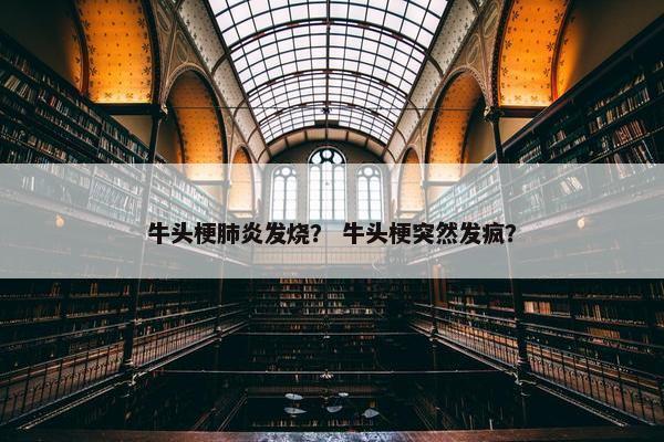 牛头梗肺炎发烧？ 牛头梗突然发疯？