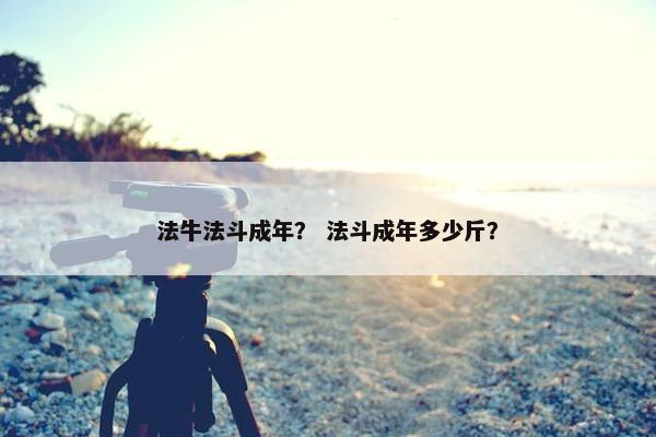 法牛法斗成年？ 法斗成年多少斤？