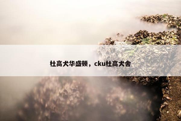 杜高犬华盛顿，cku杜高犬舍