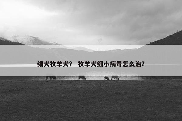 细犬牧羊犬？ 牧羊犬细小病毒怎么治？