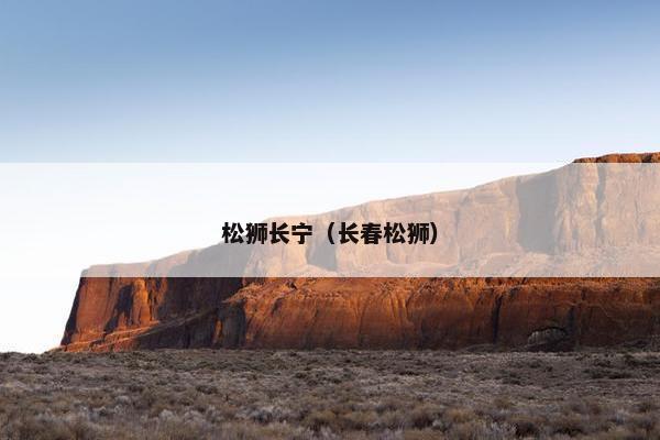 松狮长宁（长春松狮）