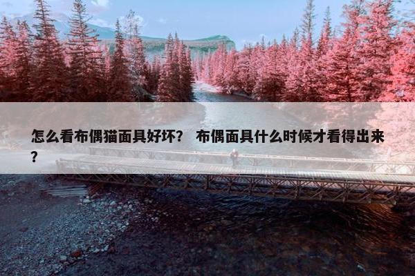 怎么看布偶猫面具好坏？ 布偶面具什么时候才看得出来？