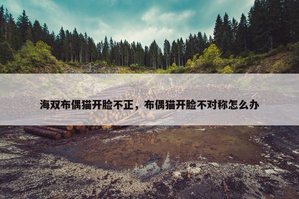 海双布偶猫开脸不正，布偶猫开脸不对称怎么办
