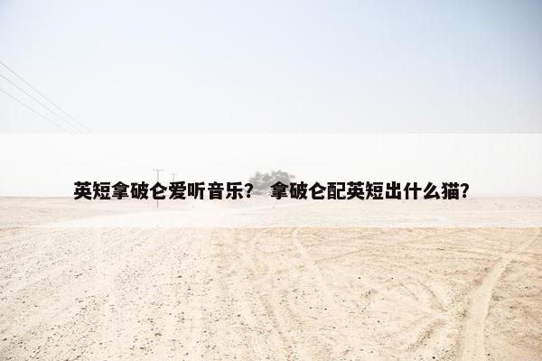 英短拿破仑爱听音乐？ 拿破仑配英短出什么猫？