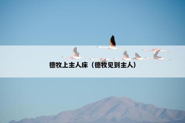 德牧上主人床（德牧见到主人）