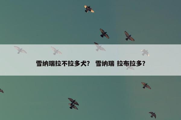 雪纳瑞拉不拉多犬？ 雪纳瑞 拉布拉多？