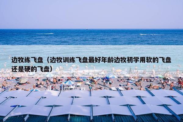 边牧练飞盘（边牧训练飞盘最好年龄边牧初学用软的飞盘还是硬的飞盘）
