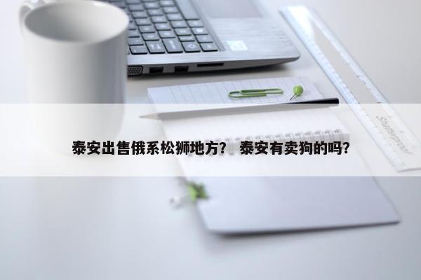泰安出售俄系松狮地方？ 泰安有卖狗的吗？