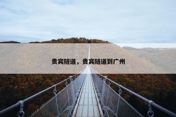 贵宾隧道，贵宾隧道到广州