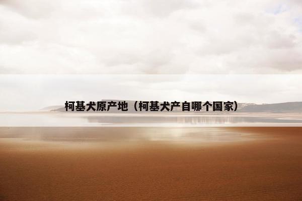 柯基犬原产地（柯基犬产自哪个国家）