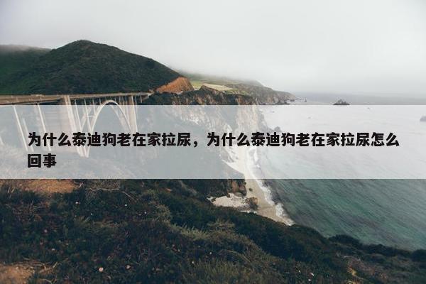 为什么泰迪狗老在家拉尿，为什么泰迪狗老在家拉尿怎么回事