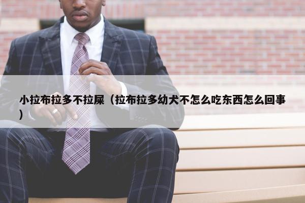 小拉布拉多不拉屎（拉布拉多幼犬不怎么吃东西怎么回事）