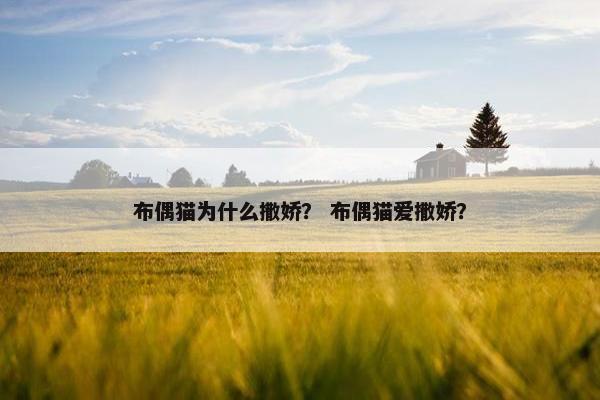 布偶猫为什么撒娇？ 布偶猫爱撒娇？