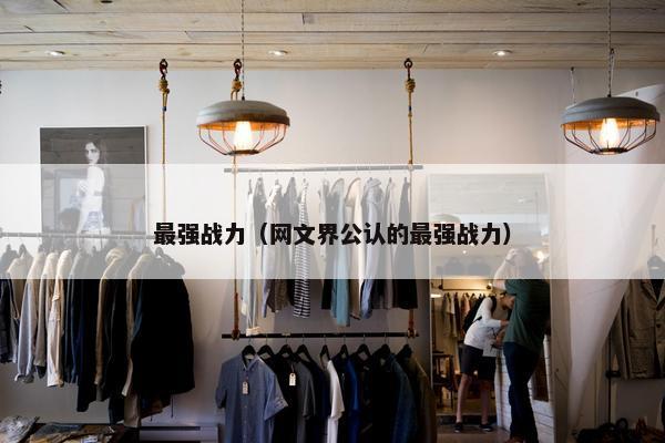 最强战力（网文界公认的最强战力）