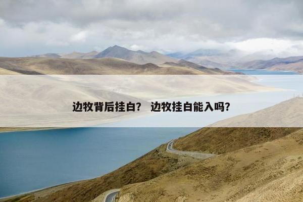 边牧背后挂白？ 边牧挂白能入吗？