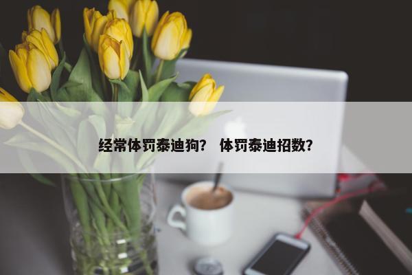 经常体罚泰迪狗？ 体罚泰迪招数？