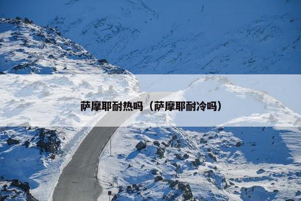 萨摩耶耐热吗（萨摩耶耐冷吗）