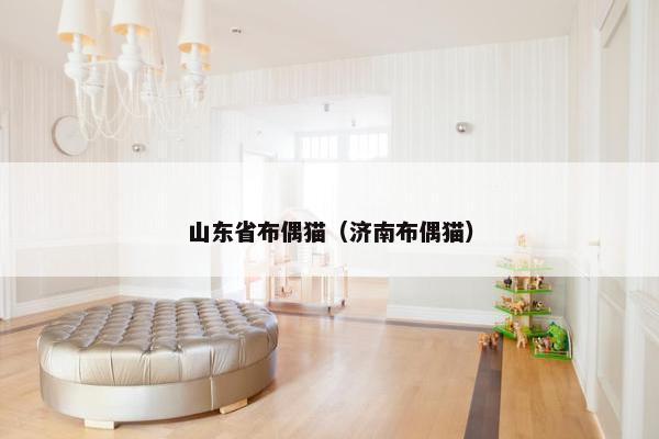 山东省布偶猫（济南布偶猫）