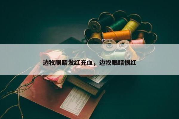 边牧眼睛发红充血，边牧眼睛很红