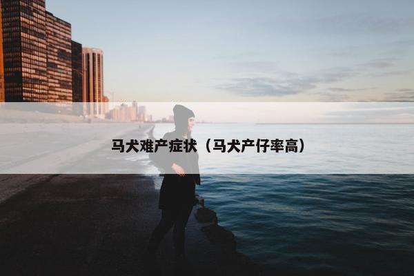 马犬难产症状（马犬产仔率高）